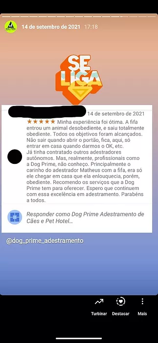 Dog Prime Adestramento de Cães