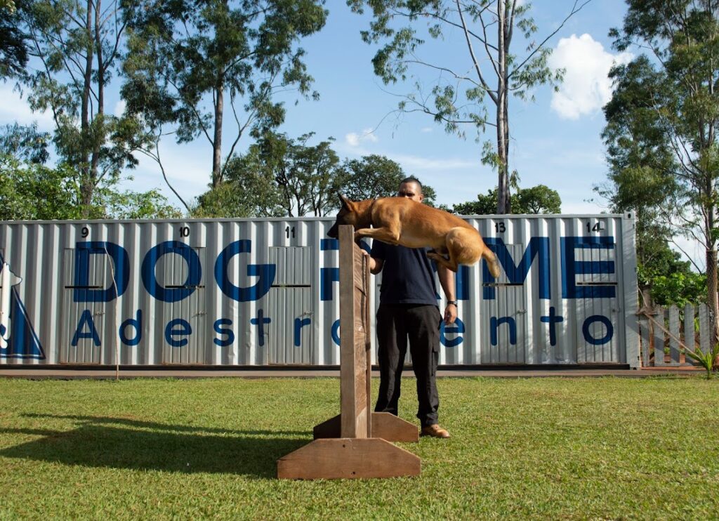 Dog Prime Adestramento de Cães