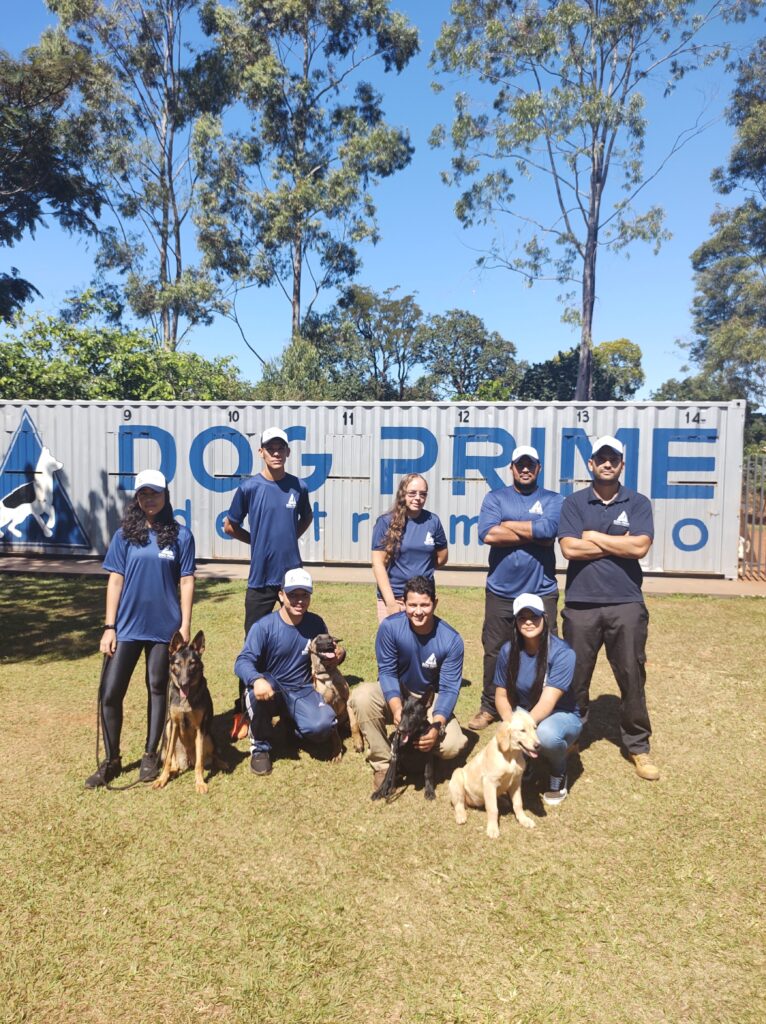 Dog Prime Adestramento de Cães