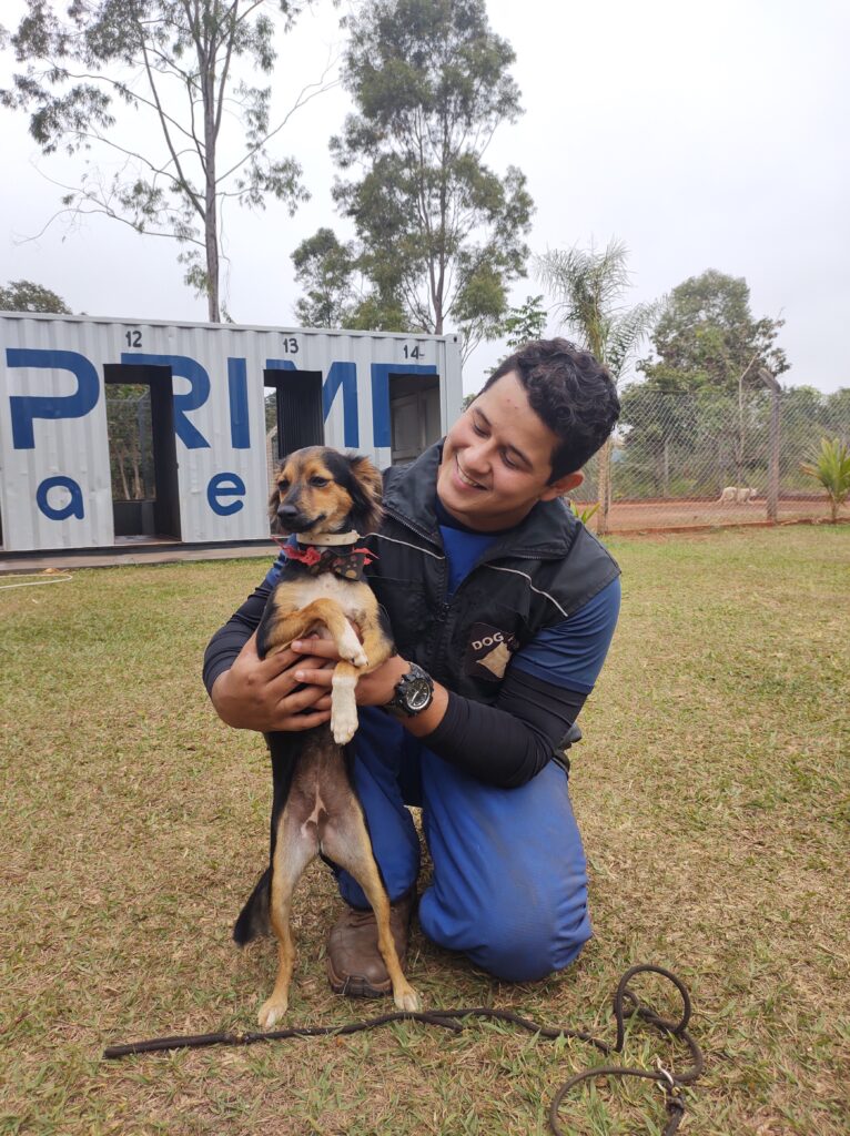 Dog Prime Adestramento de Cães