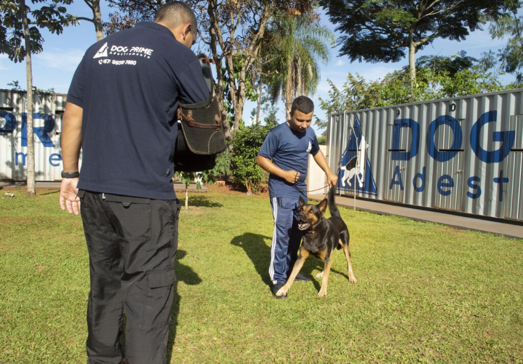 Dog Prime Adestramento de Cães